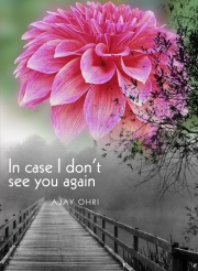 Preview the book In Case I Don't See You Again
