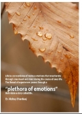 A Plethora of Emotions