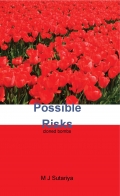 Possible risks: cloned bombs