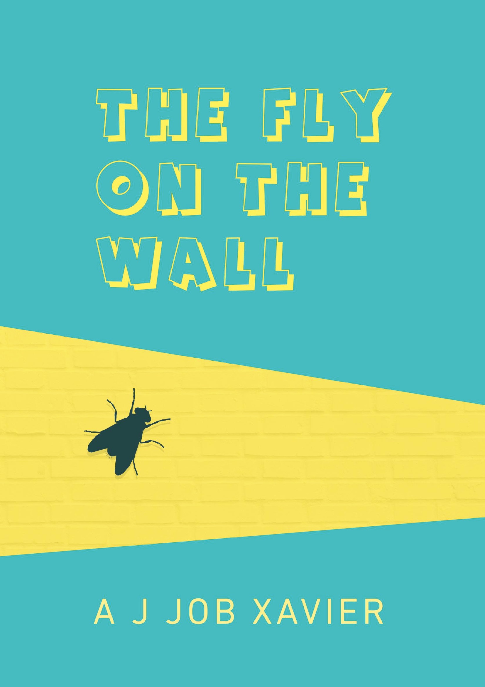 The Fly on the Wall (eBook) eBook