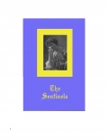 The Sentinels (eBook)