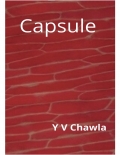 Capsule (eBook)