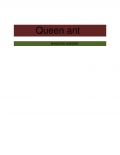 Queen ant (eBook)
