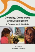 Diversity, Democracy and Development  (eBook)