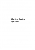 Soul Asylum (eBook)