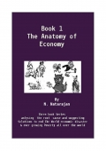 Anatomy of Economy. (eBook)