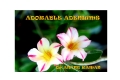 Adorable Adeniums (eBook)