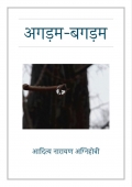 अगड़म-बगड़म (Agadam-Bagadam) (eBook)