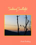 Seeking Sunlight (eBook)