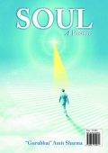 Soul A Visitor (eBook)