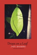 Drops on a Leaf