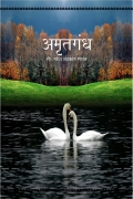 Amrutgandh (eBook)