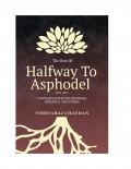 The Best of Halfway To Asphodel (eBook)