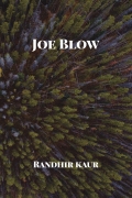 Joe Blow