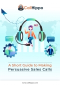 The Art Of The Sales Call, Simplified (eBook)