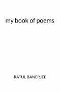 my book of poems