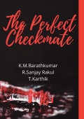 The Perfect Checkmate