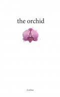 the orchid