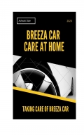 Breeza Car Care at Home  (eBook)