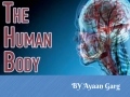 The Human Body (eBook)