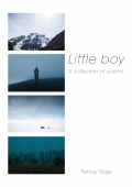 Little Boy (eBook)