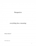 Perspective (eBook)