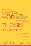 The Year That Was - Metamorphosis by an MBA