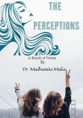 THE PERCEPTIONS (eBook)