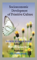 Socioeconomic Development of Primitive Culture