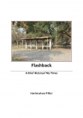 Flashback (eBook)