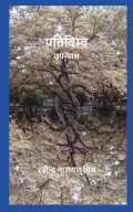 प्रतिबिम्ब