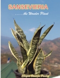 Sansevieria......the Wonder Plant