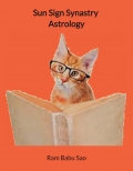 Sun Sign  Synastry Astrology