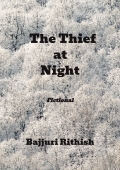The Thief at Night