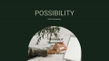 Possibility  (eBook)