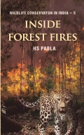 Inside Forest  Fires