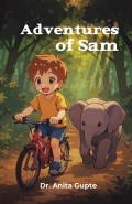Adventures of Sam