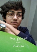 The fault in Vision (eBook)