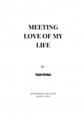 MEETING LOVE OF MY LIFE- NOVEL (eBook)