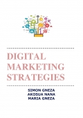 DIGITAL MARKETING STRATEGIES (eBook)