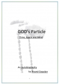 God's Particle  (eBook)