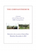 THE CHRYSANTHEMUM-16