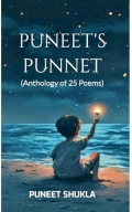 PUNEET'S PUNNET (eBook)