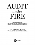 AUDIT UNDER FIRE (eBook)