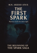 The First Spark