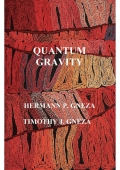 QUANTUM GRAVITY (eBook)