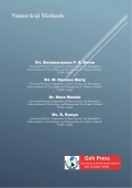Numerical Methods (eBook)