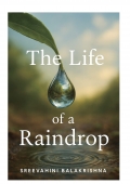 LIFE OF A RAINDROP (eBook)