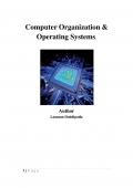 Computer Organization &  Operating Systems. (eBook)