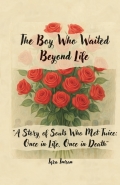 The Boy Who Waited Beyond Life (eBook)